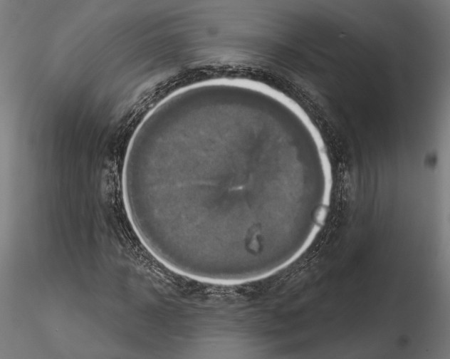 X0000115170918200912091020