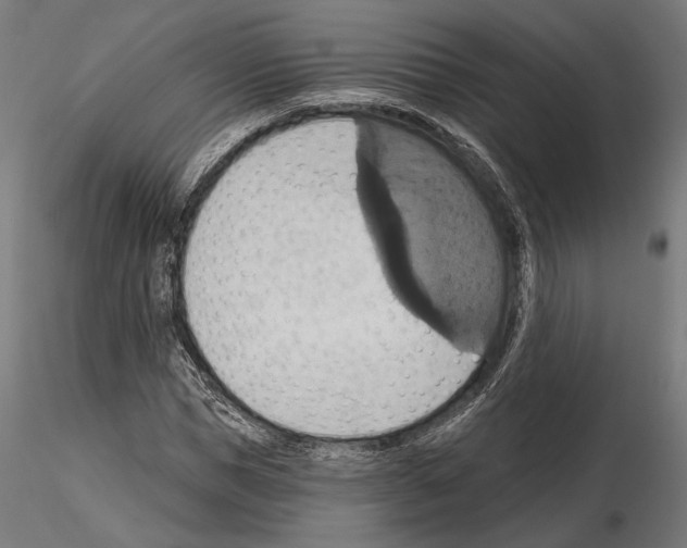 X0000115170921200912091020