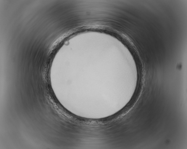 X0000115170922200912091020