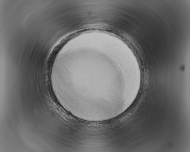 X0000115170923200912091020