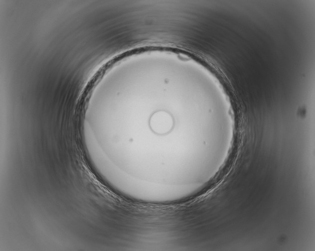 X0000115170926200912091020