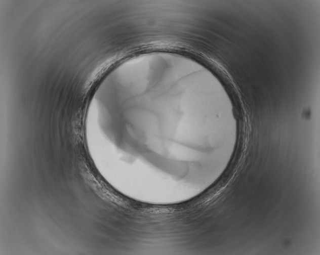 X0000115170930200912091020