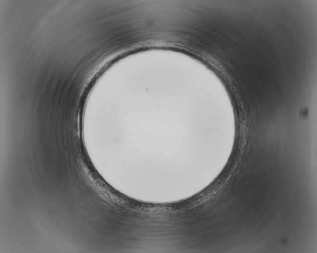 X0000115170934200912091020