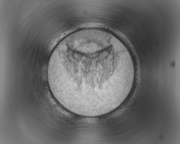 X0000115170937200912091020