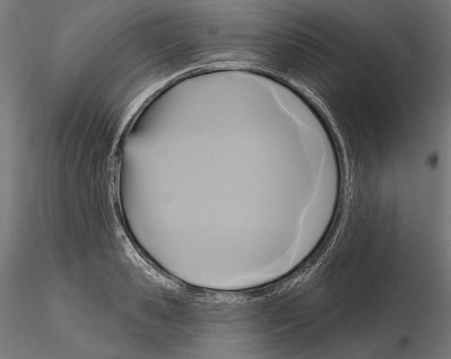 X0000115170941200912091020