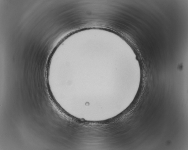 X0000115170942200912091020