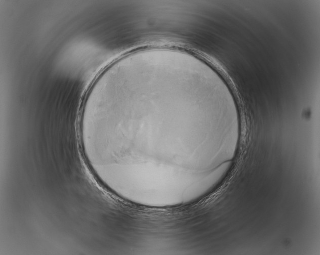 X0000115170943200912091020