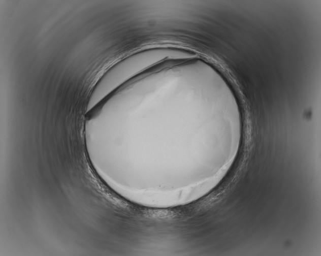 X0000115170945200912091020