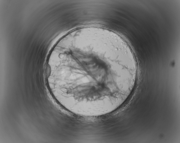 X0000115170949200912091020