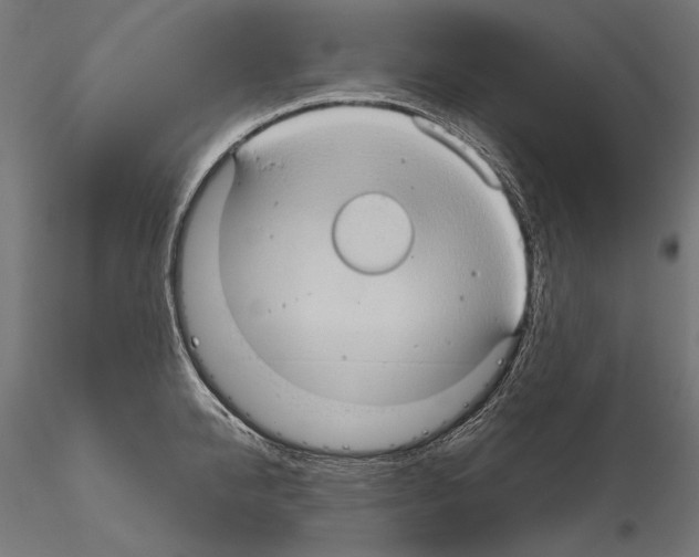 X0000115170950200912091020