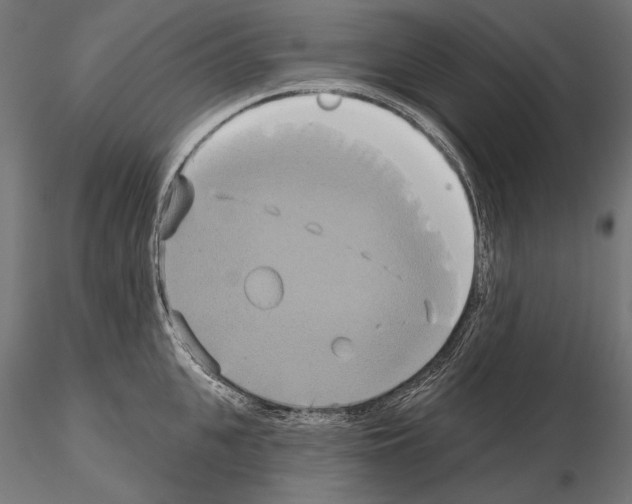 X0000115170951200912091020