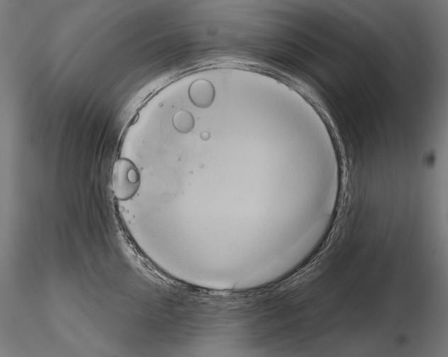 X0000115170954200912091020