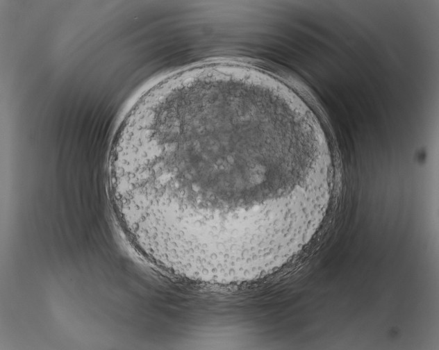 X0000115170955200912091020