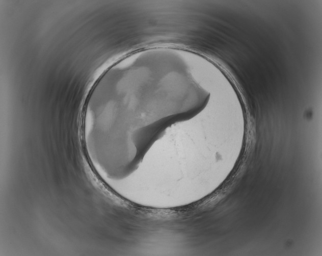 X0000115170957200912091020