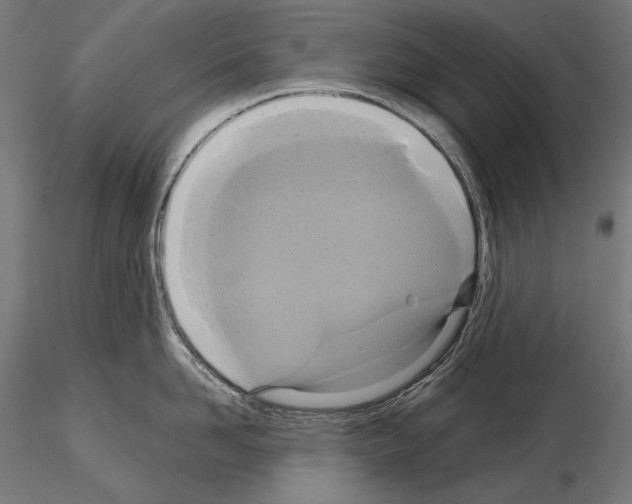 X0000115170958200912091020