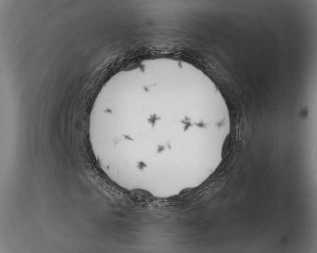 X0000115170961200912091020