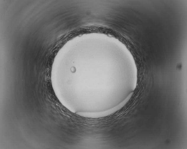 X0000115170965200912091020