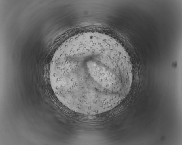 X0000115170966200912091020