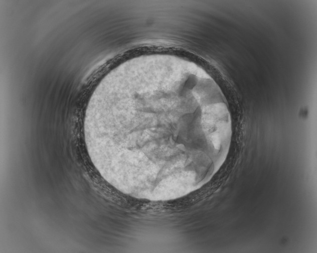 X0000115170967200912091020