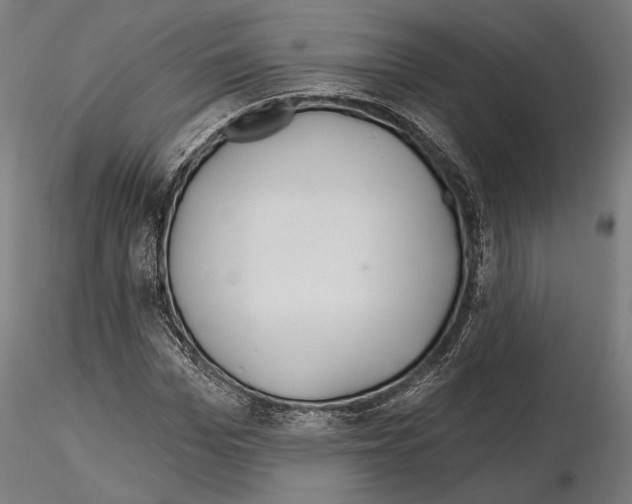 X0000115170969200912091020