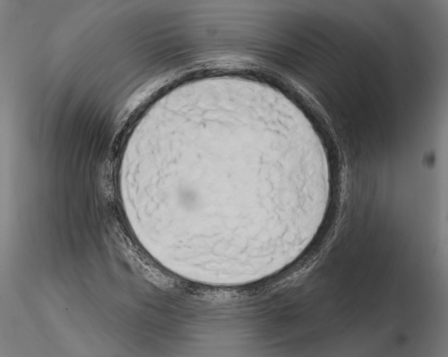 X0000115170970200912091020