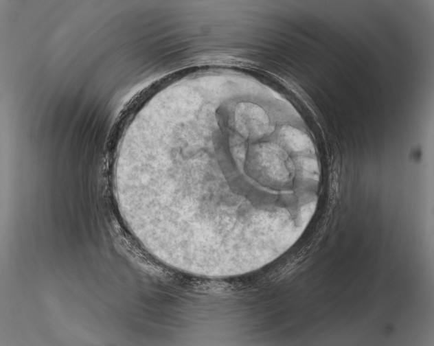 X0000115170971200912091019