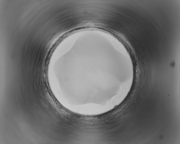 X0000115170972200912091019