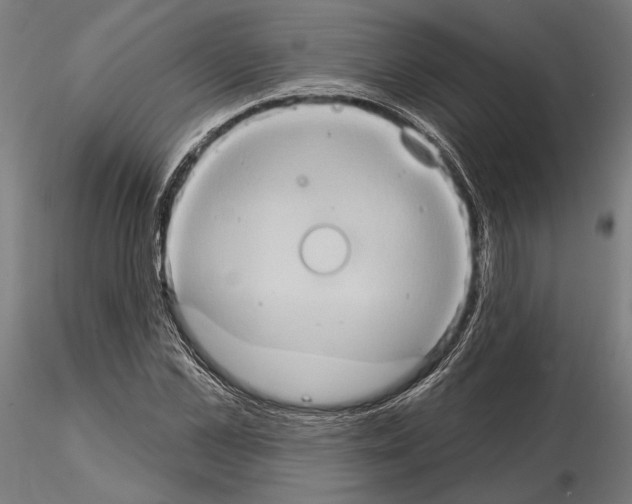 X0000115170973200912091019