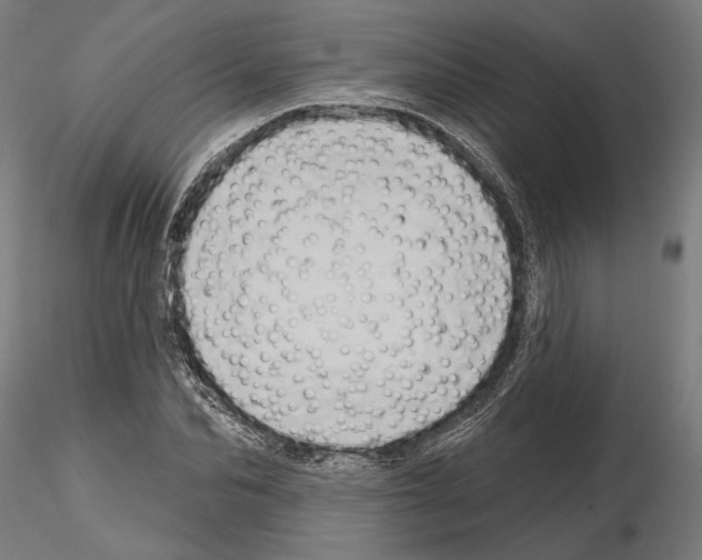 X0000115170974200912091019