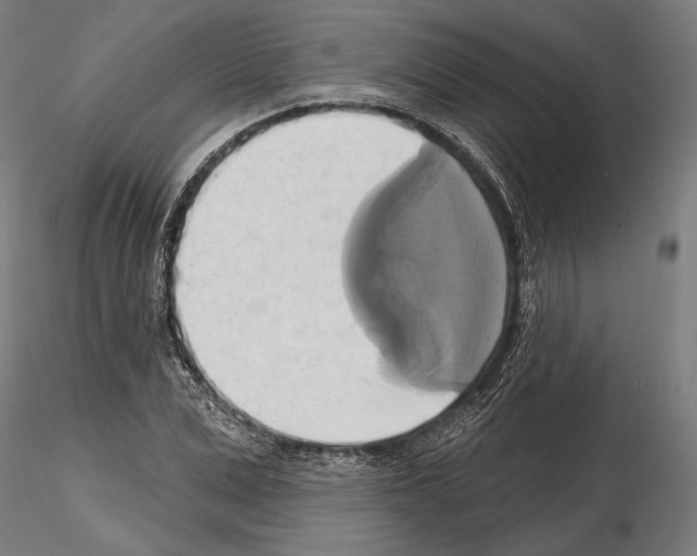 X0000115170975200912091019