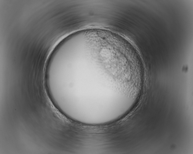 X0000115170976200912091019