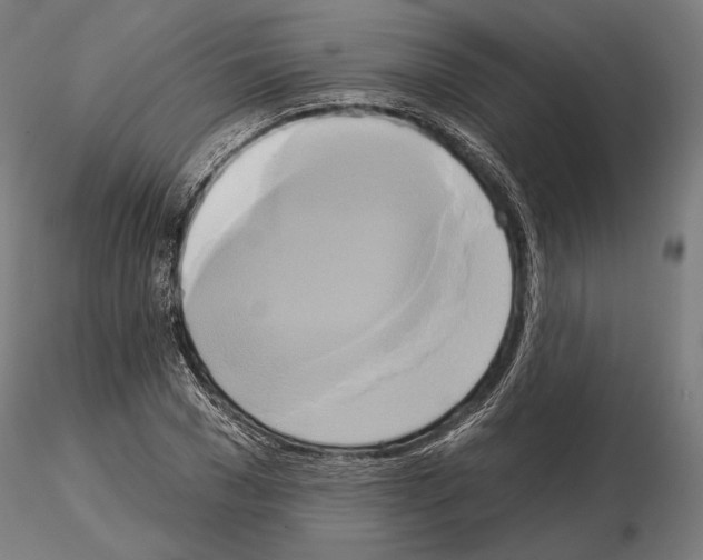 X0000115170977200912091019