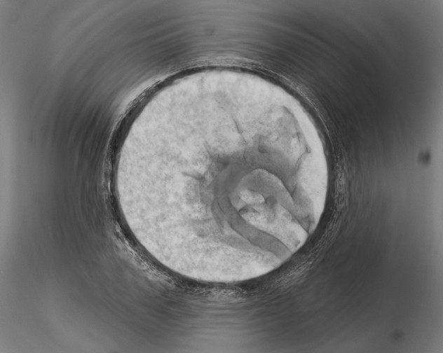 X0000115170979200912091019