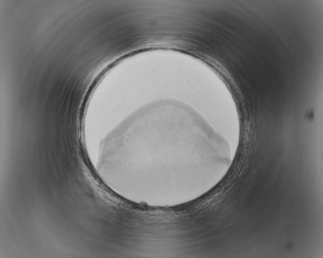 X0000115170980200912091019