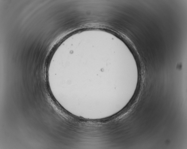 X0000115170981200912091019