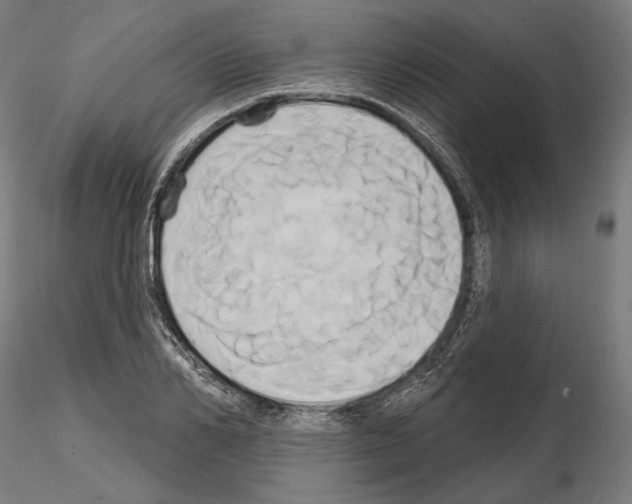 X0000115170982200912091019