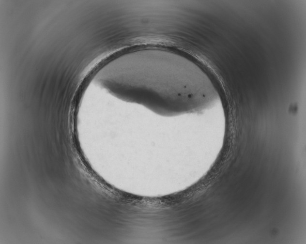 X0000115170983200912091019