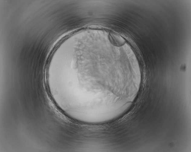 X0000115170984200912091019