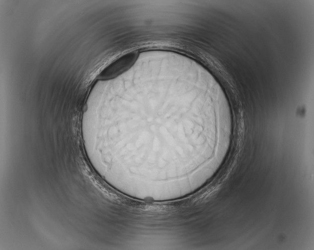 X0000115170985200912091019