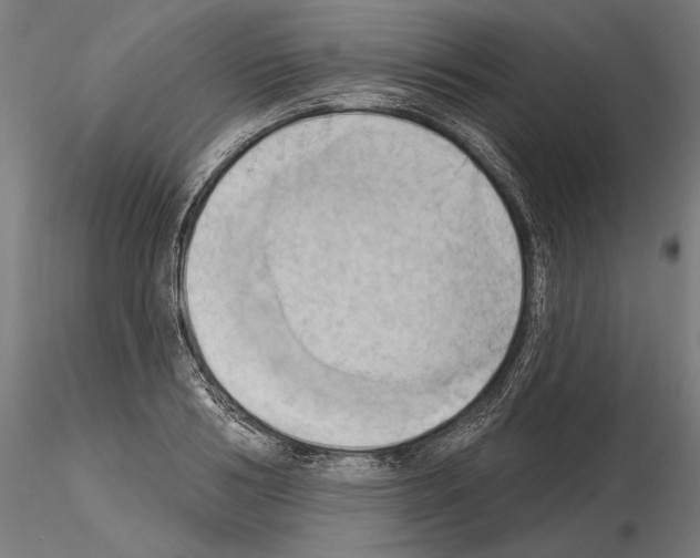 X0000115170986200912091019