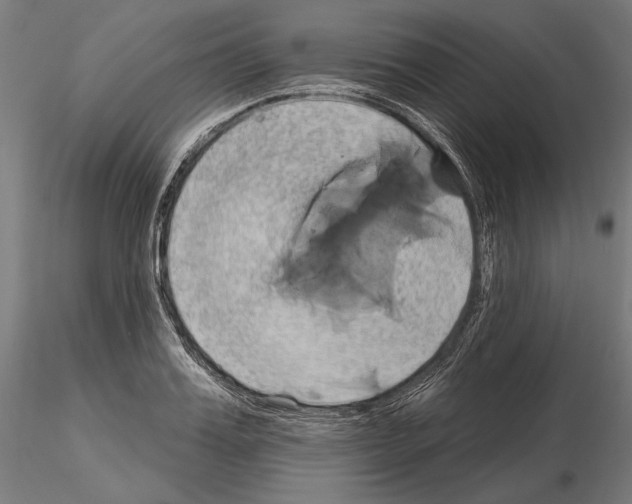 X0000115170987200912091019