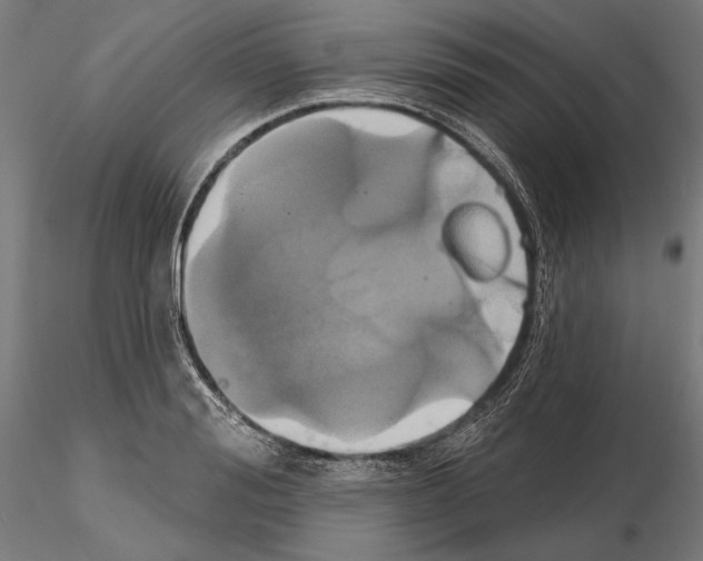 X0000115170988200912091019