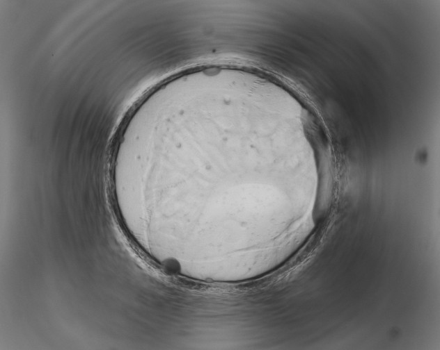 X0000115170989200912091019