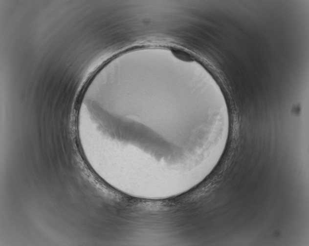 X0000115170990200912091019