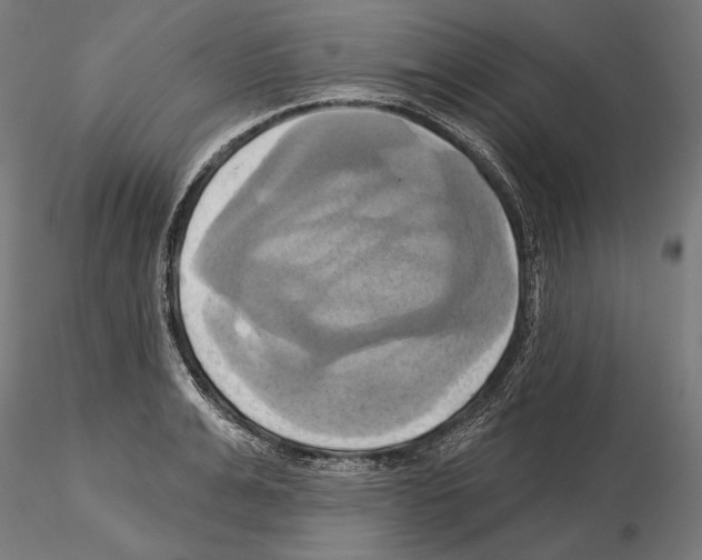 X0000115170991200912091019