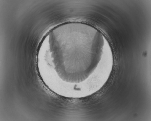 X0000115170992200912091019