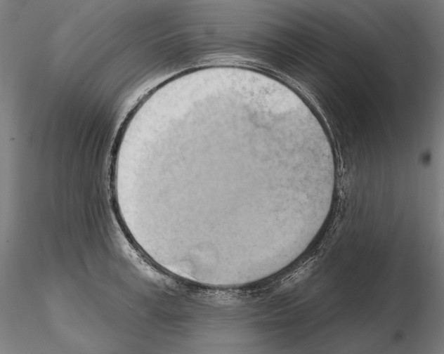 X0000115170995200912091019