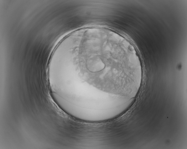 X0000115170996200912091019