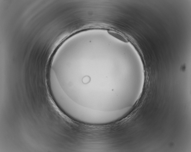 X0000115170997200912091019