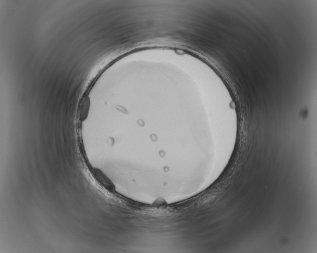 X0000115170998200912091019